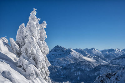 Scenic view of snowcapped mountains against clear blue sky