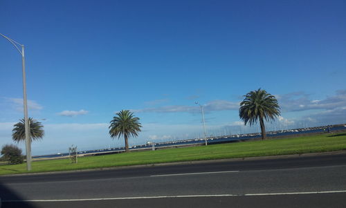 Road with trees in background