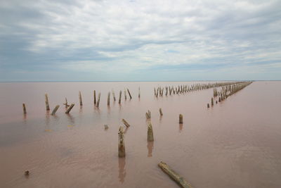 Wooden posts in sea against sky