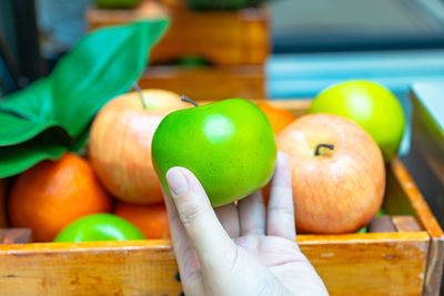 Close-up of hand holding apple
