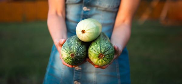 Midsection of man holding fruit