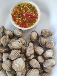 High angle view of shells on table