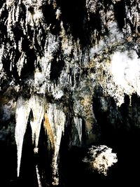 Low angle view of rock formation in water