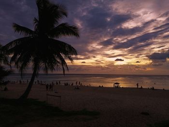 Palm trees at beach against sky during sunset