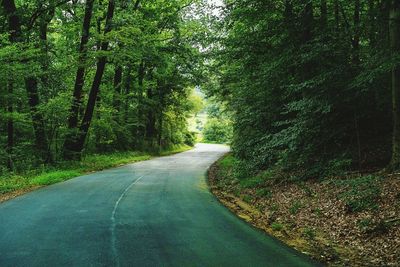 Empty road amidst trees in forest