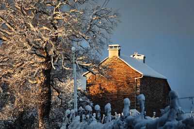 House in  snow landscape in wintertime with trees in aveyron, france