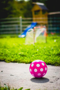 Close-up of multi colored ball on grass