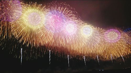 Low angle view of firework display against sky at night