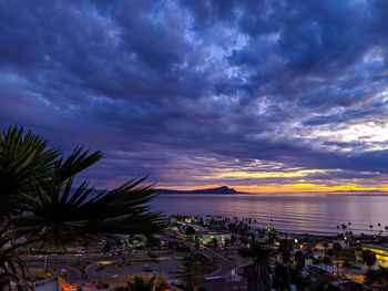 High angle view of palm trees by sea against sky