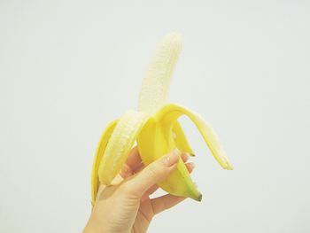 Close-up of hand holding apple against white background