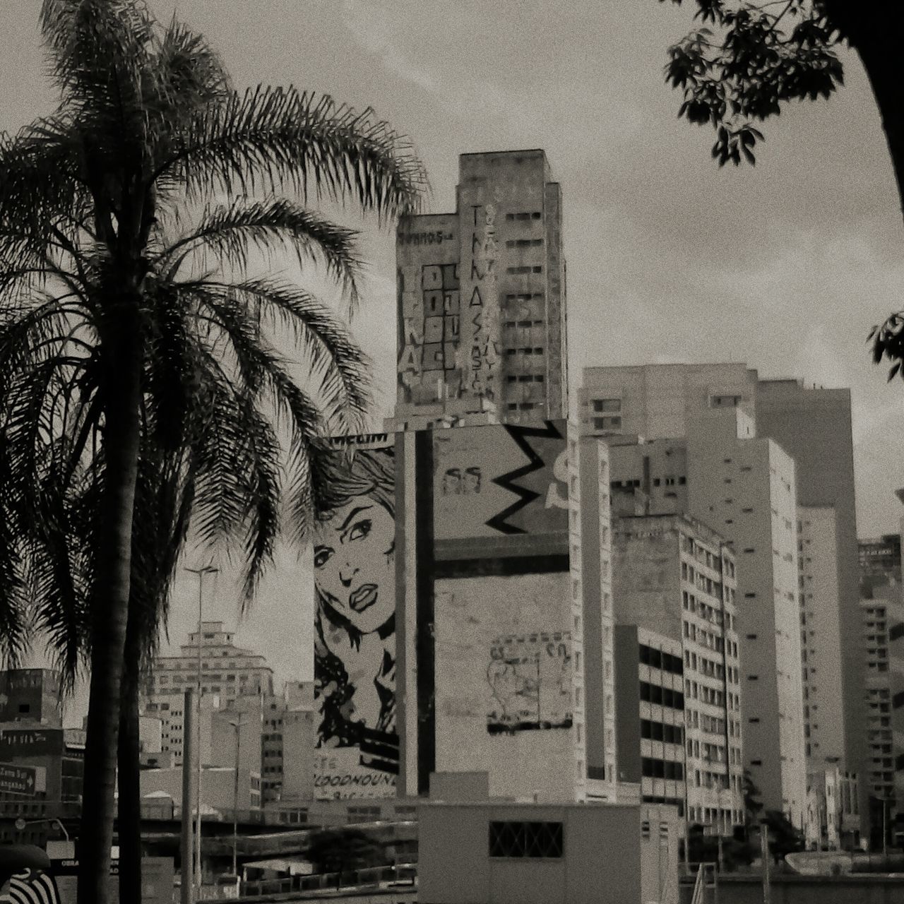 palm tree, city, architecture, building exterior, built structure, tree, outdoors, day, growth, no people, sky, cityscape