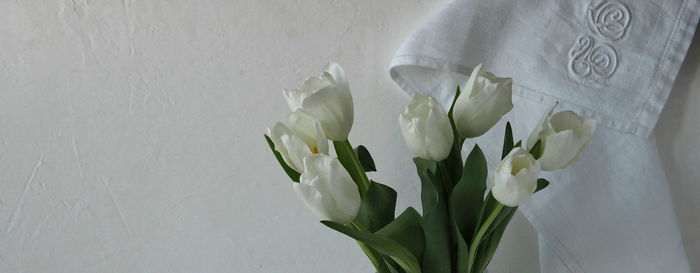 Close-up of white roses in vase against wall