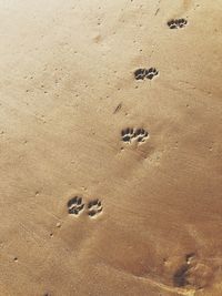 High angle view of footprints on sand