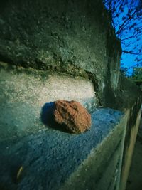 Close-up of weathered wall