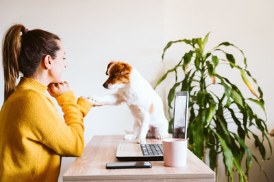 Side view of a dog sitting on table