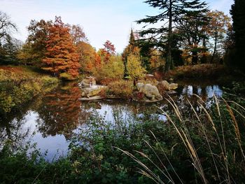 Scenic view of lake in forest during autumn