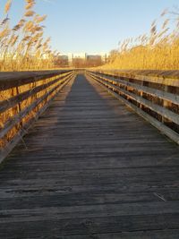 View of boardwalk along plants