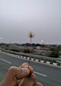 Close-up of hand holding plant against road against sky