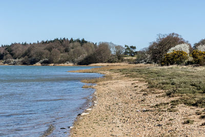 Scenic view of beach against clear sky