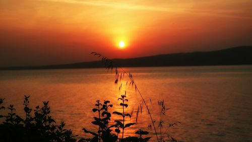 Scenic view of sunset over sea