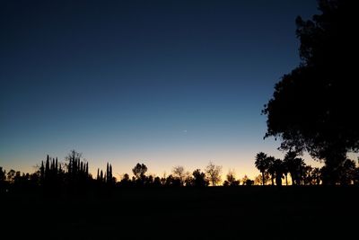 Silhouette of trees against sky at sunset