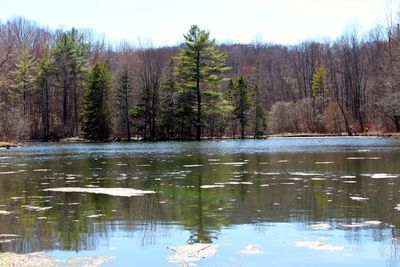 Scenic view of lake