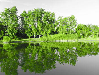 Scenic view of lake and trees against sky