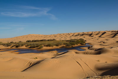 Scenic view of beach