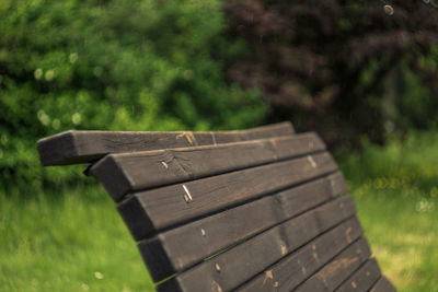 Close-up of wood on field