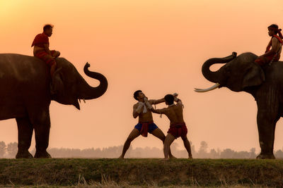 People on elephant standing at field against sky during sunset