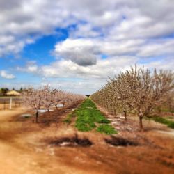 Road passing through field against cloudy sky