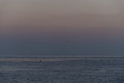Scenic view of beach at sunset