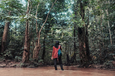 Full length rear view of man walking in forest