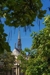 Low angle view of trees and building against sky