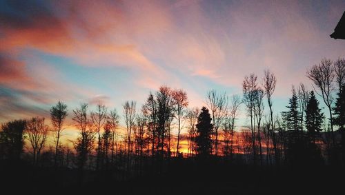 Silhouette trees in forest against sky at sunset