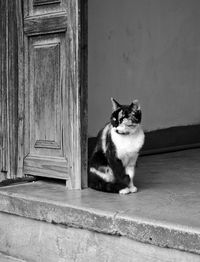 Portrait of cat sitting on door