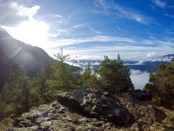 Trees on landscape against sky