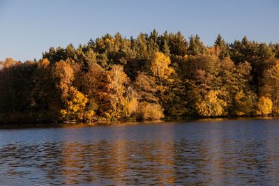 Scenic view of lake by trees against clear sky