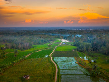 landscape