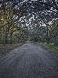 Road amidst bare trees against sky