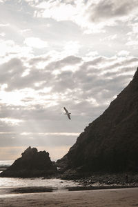 Seagull flying over sea against sky