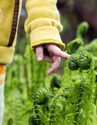 Close-up of hand touching plant