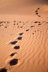 Full frame shot of sand dune