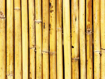 Full frame shot of bamboo