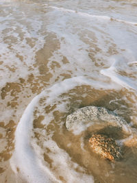 High angle view of beach