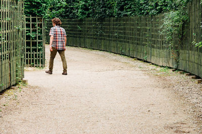 Full length rear view of man walking on footpath in park