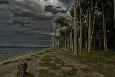 Scenic view of beach against sky