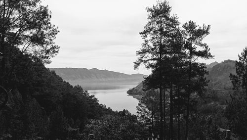 Scenic view of trees and mountains against sky