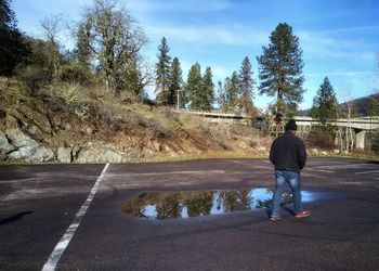 Rear view of man walking on road by trees