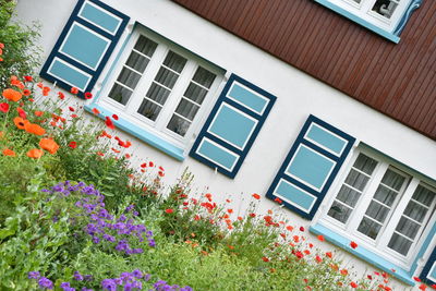 Low angle view of building by house